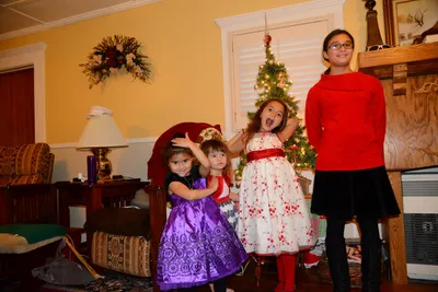 DSC_0915 (Large).JPG